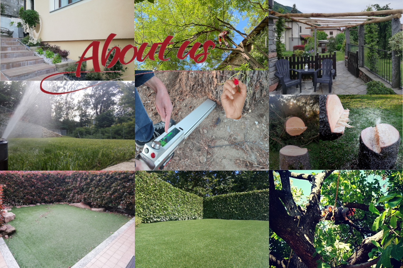 Chi siamo by giardinieri Green System Besano (Varese)